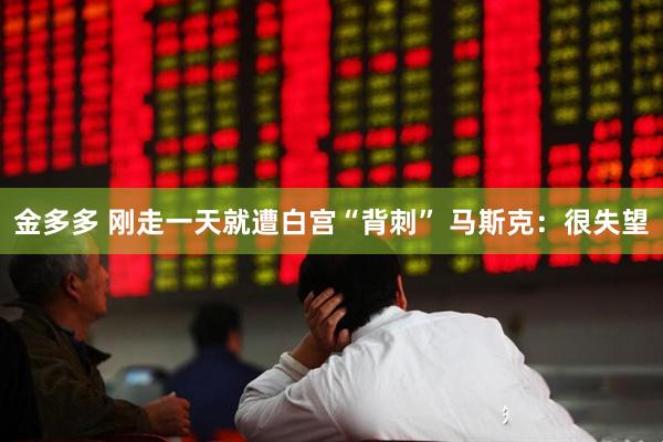 金多多 刚走一天就遭白宫“背刺” 马斯克：很失望