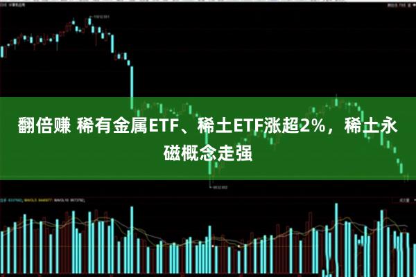 翻倍赚 稀有金属ETF、稀土ETF涨超2%，稀土永磁概念走强