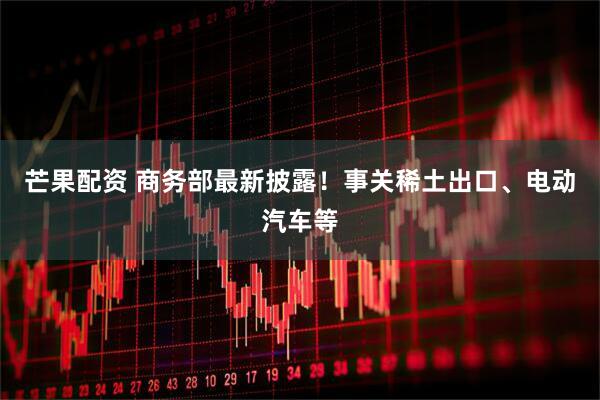 芒果配资 商务部最新披露！事关稀土出口、电动汽车等