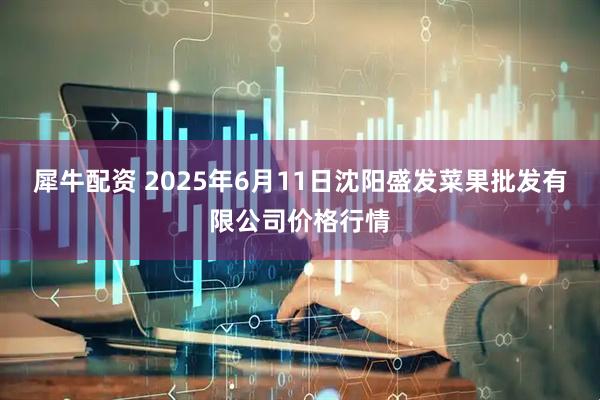 犀牛配资 2025年6月11日沈阳盛发菜果批发有限公司价格行情