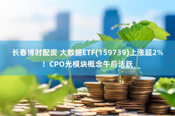 长春博时配资 大数据ETF(159739)上涨超2%！CPO光模块概念午后活跃
