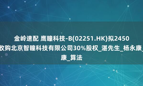 金岭速配 鹰瞳科技-B(02251.HK)拟2450万元收购北京智瞳科技有限公司30%股权_湛先生_杨永康_算法