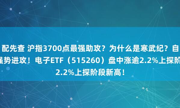 配先查 沪指3700点最强助攻？为什么是寒武纪？自主可控强势进攻！电子ETF（515260）盘中涨逾2.2%上探阶段新高！