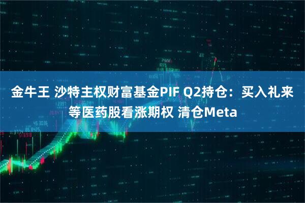 金牛王 沙特主权财富基金PIF Q2持仓：买入礼来等医药股看涨期权 清仓Meta