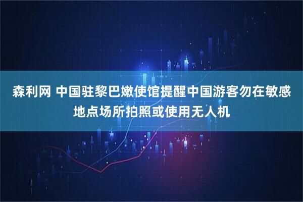 森利网 中国驻黎巴嫩使馆提醒中国游客勿在敏感地点场所拍照或使用无人机