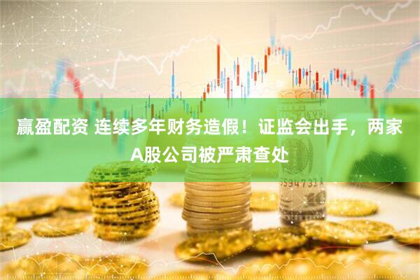 赢盈配资 连续多年财务造假！证监会出手，两家A股公司被严肃查处