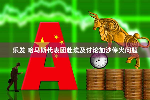 乐发 哈马斯代表团赴埃及讨论加沙停火问题
